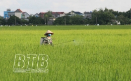 98,47% diện t&iacute;ch l&uacute;a m&ugrave;a được phun trừ s&acirc;u bệnh