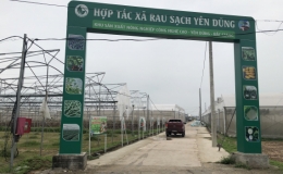 Huyện Y&ecirc;n Dũng (Bắc Giang) phấn đấu đạt chuẩn huyện n&ocirc;ng th&ocirc;n mới trong năm 2021