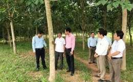 Nỗ lực x&acirc;y dựng n&ocirc;ng th&ocirc;n mới ở một x&atilde; v&ugrave;ng bi&ecirc;n