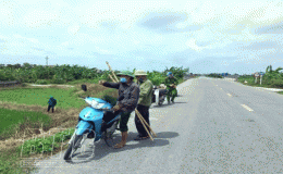 Quỳnh Phụ: 1.349 trường hợp k&yacute; cam kết kh&ocirc;ng sử dụng điện để bẫy, diệt chuột v&agrave; c&aacute;