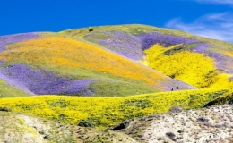 Sắc m&agrave;u thi&ecirc;n nhi&ecirc;n miền t&acirc;y nước Mỹ