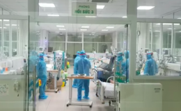 S&aacute;ng 29/8: C&oacute; 210.989 bệnh nh&acirc;n Covid-19 được chữa khỏi