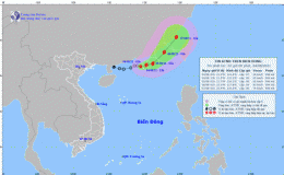 Tin &aacute;p thấp nhiệt đới tr&ecirc;n biển Đ&ocirc;ng