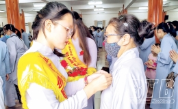 B&ocirc;ng hồng m&ugrave;a hiếu hạnh