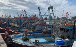 T&iacute;ch cực, chủ động ứng ph&oacute; với b&atilde;o số 2