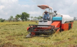 Cơ giới h&oacute;a đồng bộ theo chuỗi li&ecirc;n kết sản xuất n&ocirc;ng nghiệp