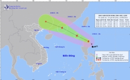 C&ocirc;ng điện khẩn số 10/CĐ-PCTT của Ban Chỉ huy PCTT v&agrave; TKCN tỉnh Th&aacute;i B&igrave;nh