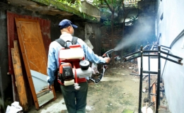 Đ&atilde; c&oacute; 45 ca tử vong do sốt xuất huyết tại 15 tỉnh, th&agrave;nh phố