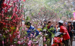 Đề xuất nghỉ Tết Nguy&ecirc;n đ&aacute;n Qu&yacute; M&atilde;o 2023 c&oacute; thể k&eacute;o d&agrave;i đến 9 ng&agrave;y