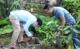 Điều tra, gi&aacute;m s&aacute;t chỉ số c&ocirc;n tr&ugrave;ng tại khu vực c&oacute; ca mắc sốt xuất huyết nội sinh