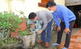 Gi&aacute;m s&aacute;t c&ocirc;ng t&aacute;c ph&ograve;ng, chống sốt xuất huyết tại huyện Đ&ocirc;ng Hưng