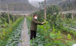 Huyện Y&ecirc;n Thủy (H&ograve;a B&igrave;nh): Khơi dậy nội lực c&aacute;n đ&iacute;ch n&ocirc;ng th&ocirc;n mới