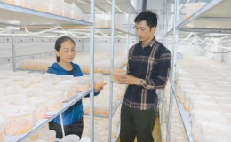 Kỳ 2: Khơi th&ocirc;ng điểm nghẽn ti&ecirc;u thụ n&ocirc;ng sản