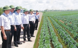 Nam Định: Người d&acirc;n l&agrave; chủ thể, nguồn lực trong x&acirc;y dựng n&ocirc;ng th&ocirc;n mới