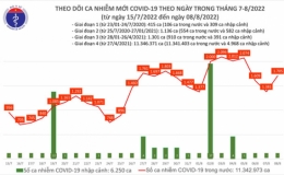 Ng&agrave;y 8/8, th&ecirc;m 1.705 ca mắc COVID-19 mới