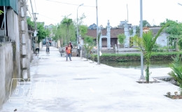 &Ocirc;ng cố vấn: Những ng&agrave;y chống Ph&aacute;p ở qu&ecirc;  