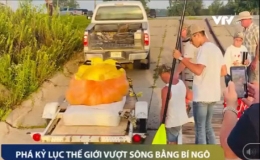 Ph&aacute; kỷ lục thế giới vượt s&ocirc;ng bằng... b&iacute; ng&ocirc;