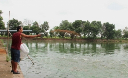 Quản l&yacute; thủy sản m&ugrave;a mưa b&atilde;o