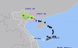 Theo d&otilde;i diễn biến thời tiết, chủ động ứng ph&oacute; với ho&agrave;n lưu sau b&atilde;o