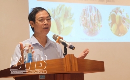 130 hội vi&ecirc;n n&ocirc;ng d&acirc;n tham gia tập huấn c&ocirc;ng t&aacute;c bảo vệ thực vật