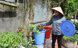 2.600 hội vi&ecirc;n, phụ nữ tham gia lớp truyền th&ocirc;ng thực hiện chương tr&igrave;nh mục ti&ecirc;u quốc gia x&acirc;y dựng n&ocirc;ng th&ocirc;n mới   