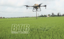 30.000ha l&uacute;a m&ugrave;a phải phun lần 2 ph&ograve;ng, trừ s&acirc;u cuốn l&aacute; nhỏ