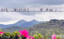 Cầu k&iacute;nh c&ocirc;ng nghệ 7D d&agrave;i 325m tại Đ&agrave; Lạt ch&iacute;nh thức phục vụ du kh&aacute;ch