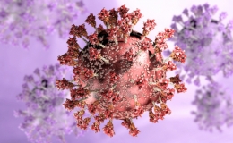 Điều cần biết về biến chủng nCoV Pirola