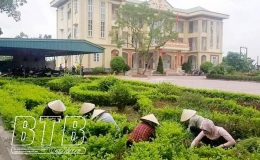  Đ&ocirc;ng Hưng: Ra qu&acirc;n tổng vệ m&ocirc;i trường, ph&ograve;ng chống dịch bệnh