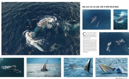 Festival Nhiếp ảnh trẻ 2023 - Bước trưởng th&agrave;nh của c&aacute;c tay m&aacute;y trẻ