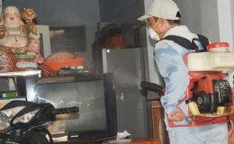 Ghi nhận 13 ca tử vong v&igrave; sốt xuất huyết, Bộ Y tế chỉ đạo khẩn