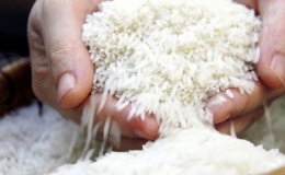 Gi&aacute; gạo Việt Nam cao nhất thế giới