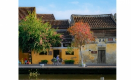 Hội An v&agrave;o top 9 nơi tuyệt nhất thế giới v&igrave; "c&aacute;i g&igrave; cũng c&oacute;"