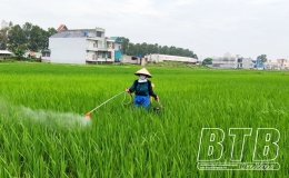 Hưng H&agrave;: Ph&aacute;t động đợt ph&ograve;ng, trừ s&acirc;u bệnh bảo vệ l&uacute;a m&ugrave;a từ ng&agrave;y 22 - 25/8   