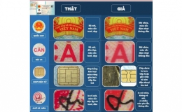 Hướng dẫn ph&acirc;n biệt Căn cước c&ocirc;ng d&acirc;n, Chứng minh nh&acirc;n d&acirc;n thật v&agrave; giả