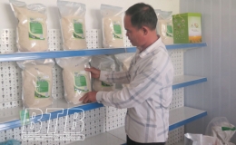 Kiến Xương: Hướng tới ph&aacute;t triển c&aacute;c sản phẩm chủ lực