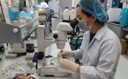 Nghi&ecirc;n cứu ch&iacute;nh s&aacute;ch đ&atilde;i ngộ vượt trội cho người l&agrave;m khoa học