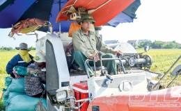 &Ocirc;ng Cảnh t&iacute;ch tụ ruộng đất l&agrave;m gi&agrave;u