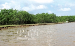 Ph&aacute;t triển kinh tế đi đ&ocirc;i với bảo vệ m&ocirc;i trường sinh th&aacute;i bền vững