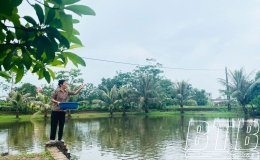 Sức sống mới tr&ecirc;n qu&ecirc; hương c&aacute;ch mạng