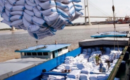 Tăng cường ph&aacute;t triển thị trường xuất khẩu gạo, b&igrave;nh ổn thị trường trong nước