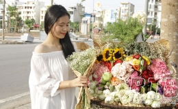 Th&agrave;nh phố Th&aacute;i B&igrave;nh: Rực rỡ những xe hoa chở thu về