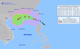 Tin b&atilde;o tr&ecirc;n biển Đ&ocirc;ng (Cơn b&atilde;o số 3)