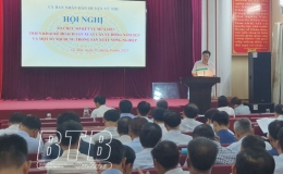 Vũ Thư: Phấn đấu gieo trồng 5.300 ha c&acirc;y m&agrave;u vụ đ&ocirc;ng