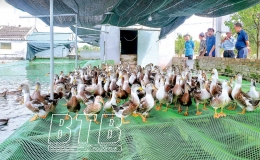 X&acirc;y dựng c&aacute;c m&ocirc; h&igrave;nh khuyến n&ocirc;ng theo chuỗi gi&aacute; trị