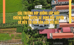 C&aacute;c trường hợp n&agrave;o sẽ kh&ocirc;ng cấp Giấy chứng nhận quyền sử dụng đất, quyền sở hữu t&agrave;i sản gắn liền với đất?