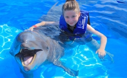 Con người giao tiếp với c&aacute; heo bằng c&aacute;ch n&agrave;o?