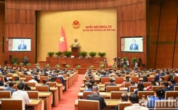 C&ocirc;ng bố Nghị quyết của Quốc hội v&agrave; Ủy ban Thường vụ Quốc hội kh&oacute;a XV