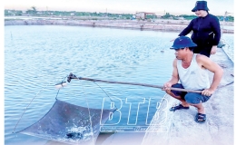 Cương &ldquo;r&aacute;i c&aacute;&rdquo; v&agrave; c&acirc;u chuyện l&agrave;m gi&agrave;u từ nu&ocirc;i giống thủy sản