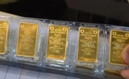 Gi&aacute; v&agrave;ng miếng giảm nửa triệu đồng